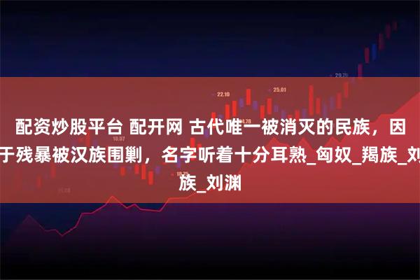 配资炒股平台 配开网 古代唯一被消灭的民族，因过于残暴被汉族围剿，名字听着十分耳熟_匈奴_羯族_刘渊